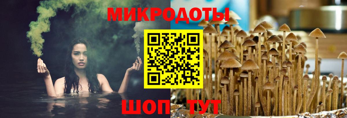 Галлюциногенные грибы Psilocybine cubensis Вышний Волочёк